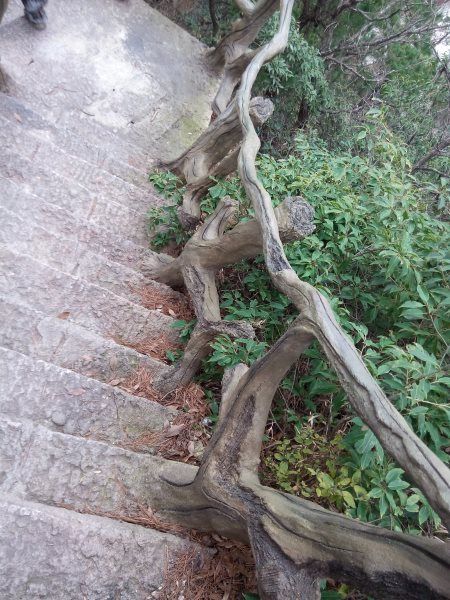 游步道